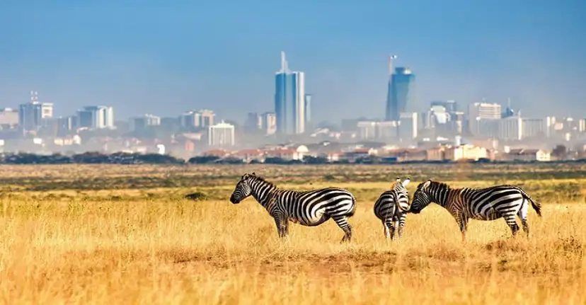 Nairobi National Reserve